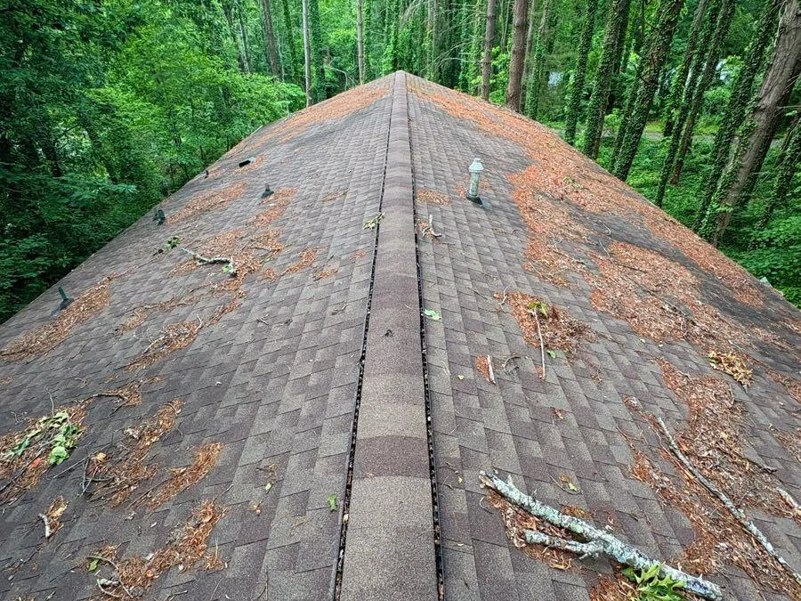 Leaf litter and fallen limbs across a roof before cleaning