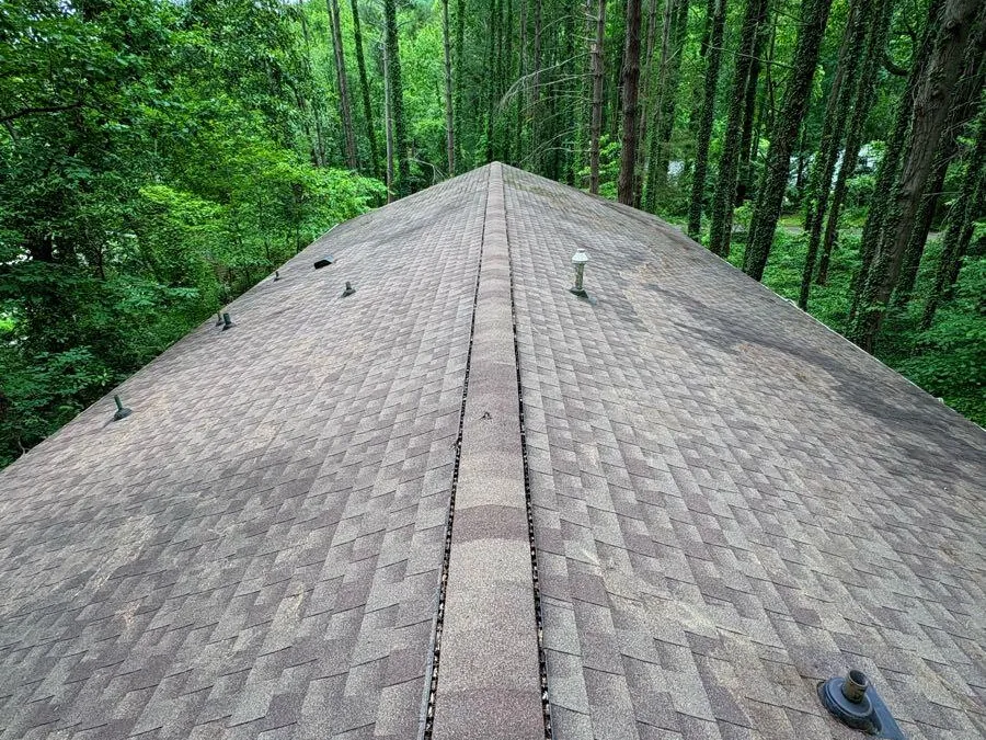 A cleaned shingle ridge running toward the tree line